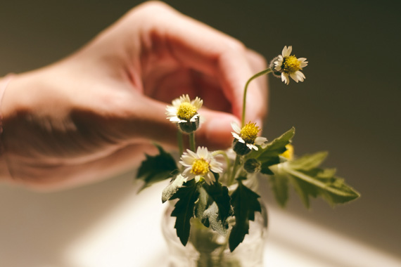 Plant Relocation